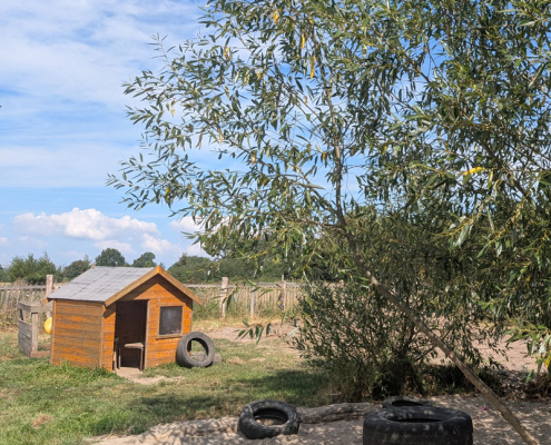 Husby-Sandkasten-800x800